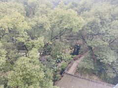 -巴倒烫陆派火锅山庄(南山总店)