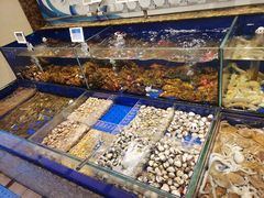 水产区-高佳庄·舟山海鲜(海景旗舰店)