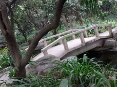 -黄埔荔枝公园