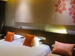 -九华山聚龙大酒店