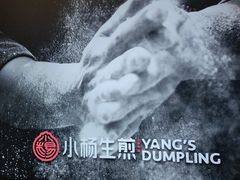 -小杨生煎(白玉兰广场店)