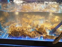 -锅儿欢海鲜火锅烤肉自助餐(东港凯虹店)