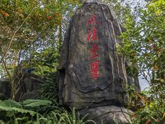 -广州市流溪河国家森林公园