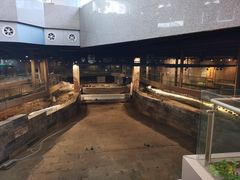 -元代水闸遗址博物馆