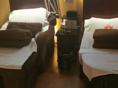 -知足堂养生会所(碑亭巷店)