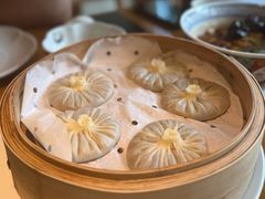 -庆春朴门