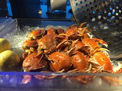 -海神诺富特大酒店-旋宫50旋转餐厅