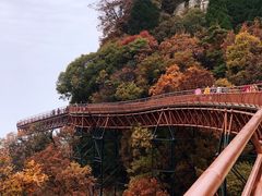 -少华山国家森林公园