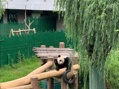 -沈阳森林动物园