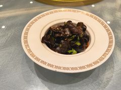 -丁老爷子苏香圆