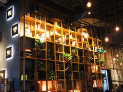 -同仁四季椰子鸡(宝安壹方城店)