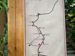 -南山植物园