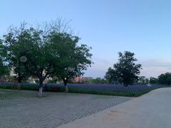 -静之湖湖畔餐厅