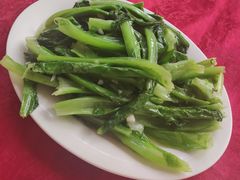 蒜蓉油麥菜-蛇口康乐快餐鱼仔档(翠苑小区店)
