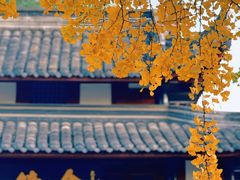 -蓉府金足印象(草市街店)