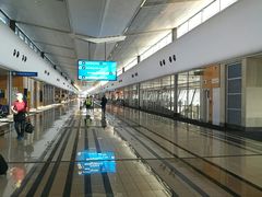 -奥利弗·雷金纳德·坦博国际机场