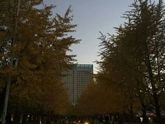 -辽宁大学(崇山校区)
