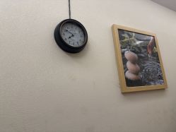 -芳朵美容养生SPA