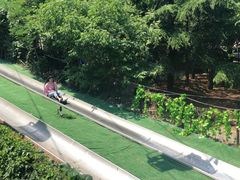 -富斯特索道