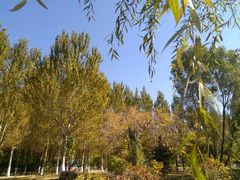 -吉林大学(前卫南区)
