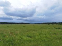 -塞罕坝国家级自然保护区