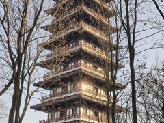-宜兴龙背山森林公园