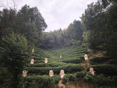 -婺源月亮湾