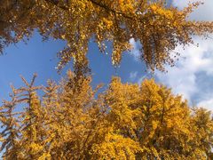 -长发西饼(道前店)