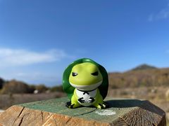 -白草畔自然风景区