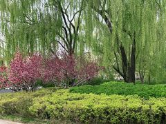 -玲珑塔公园
