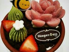 -哈根达斯(国瑞店)