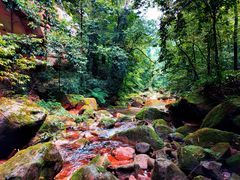 -赤水丹霞旅游区·佛光岩