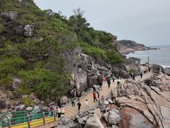 -广东惠东海龟国家级自然保护区
