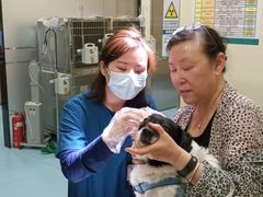 -萌兽医馆·犬猫专科·眼科中心·宠物医院(朝阳门分院)