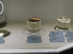-河南自然博物馆