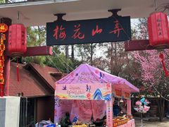 -南京市溧水区傅家边梅花山弄山庄