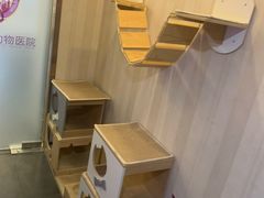 -宠爱国际动物医院·消化内科·心肾内科·ISFM猫友好(望京店)