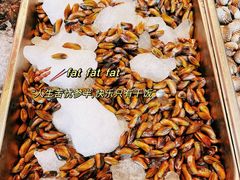 -抱德·潮汕味(琶洲店原惠城鱼仔)