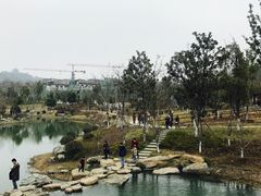 -镇江市南山风景名胜区竹林景区