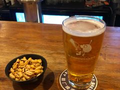 -Arrow Factory Brewing箭厂啤酒