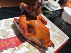 -大鸽饭(北京路店)