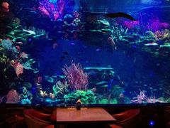 -迪拜帆船酒店海底餐厅