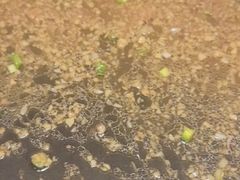 -鲜味食族水产·海鲜餐厅
