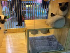 -三旗百汇商品城