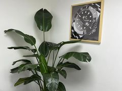 -会麦二手奢侈品回收寄卖