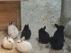 -秦皇岛新澳海底世界