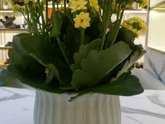 -湛江鑫海名城(鑫海华庭店)