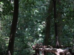 -都江堰普照寺