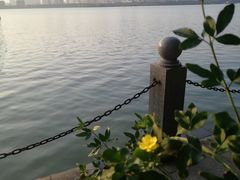 -燕鸣岛