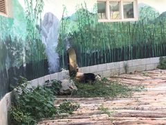 -南昌动物园